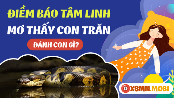 Mơ thấy trăn đánh số mấy - Giải mã điềm báo mơ thấy con trăn