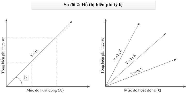 Phân loại chi phí theo mối quan hệ với mức độ hoạt động (P1 - Biến phí)