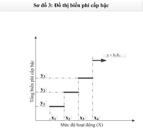 Phân loại chi phí theo mối quan hệ với mức độ hoạt động (P1 - Biến phí)