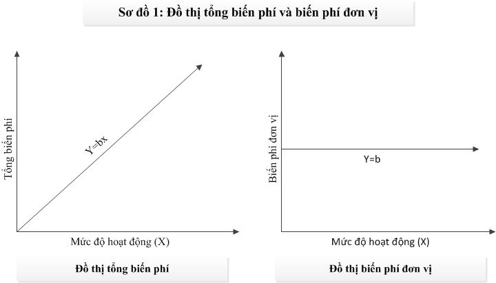 Phân loại chi phí theo mối quan hệ với mức độ hoạt động (P1 - Biến phí)