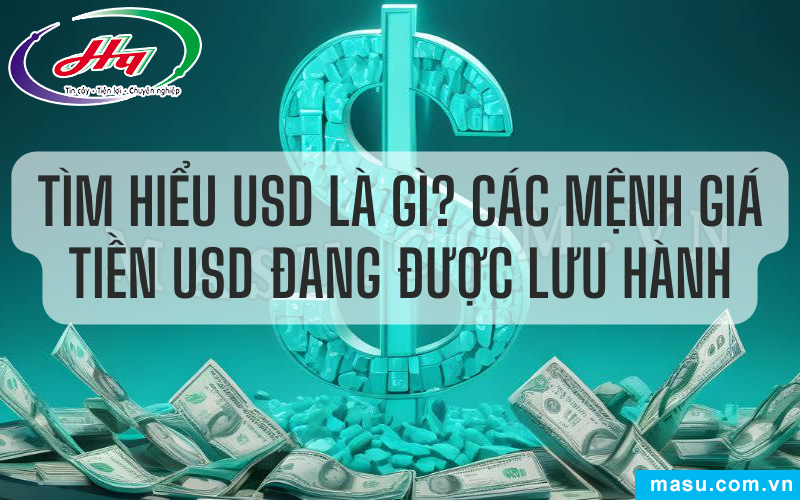 Tìm Hiểu USD Là Gì? Các Mệnh Giá Tiền USD Đang Được Lưu Hành