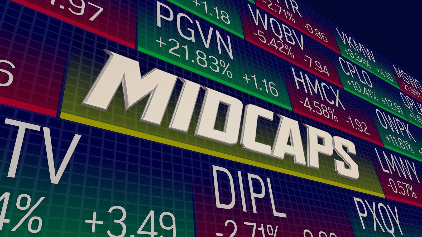 Tại sao lại là cổ phiếu Midcap? Đặc điểm khiến Midcap luôn có sức hút với nhà đầu tư?