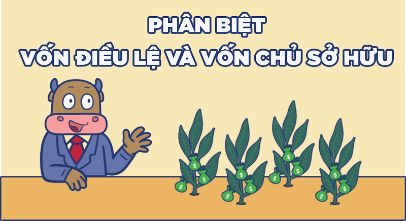 Vốn Chủ Sở Hữu Là Gì? Cách Tính Chuẩn Nhất Từ A - Z