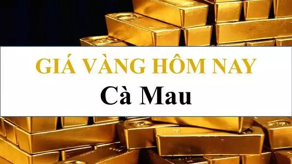 Giá vàng 24k, Giá vàng tây hội kim hoàn Cà Mau hôm nay 03/10/2024