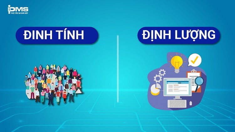 Định lượng và định tính là gì? 7 bước cơ bản để nghiên cứu dữ liệu kèm ví dụ