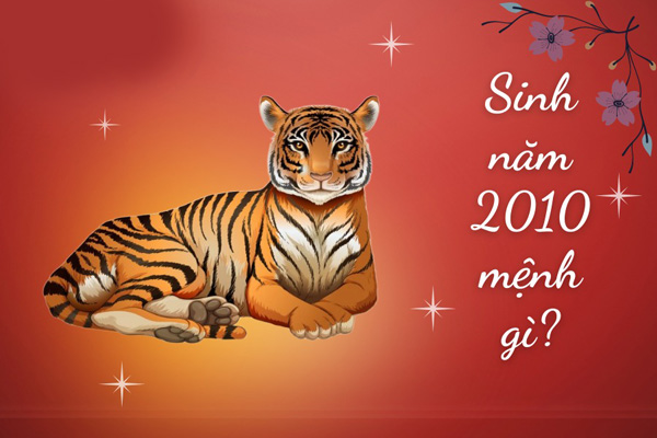 2K10 Năm Nay Bao Nhiêu Tuổi - Mệnh Gì Và Học Lớp Mấy