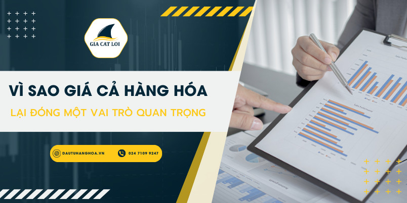 Giá Cả Hàng Hóa Là Gì ? Những Nhân Tố Thúc Đẩy Giá