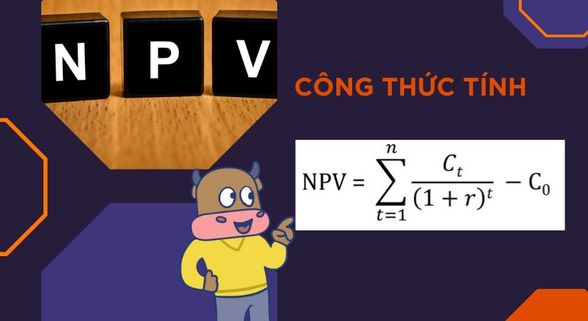 Chỉ số IRR là gì? Công thức tính, ưu điểm và hạn chế