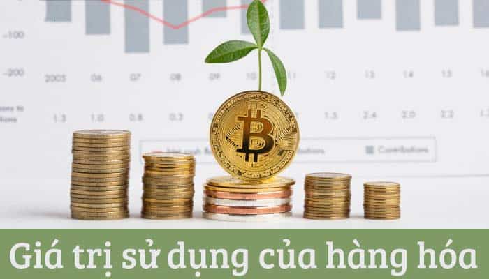 Giá trị sử dụng của hàng hóa được hiểu là gì?