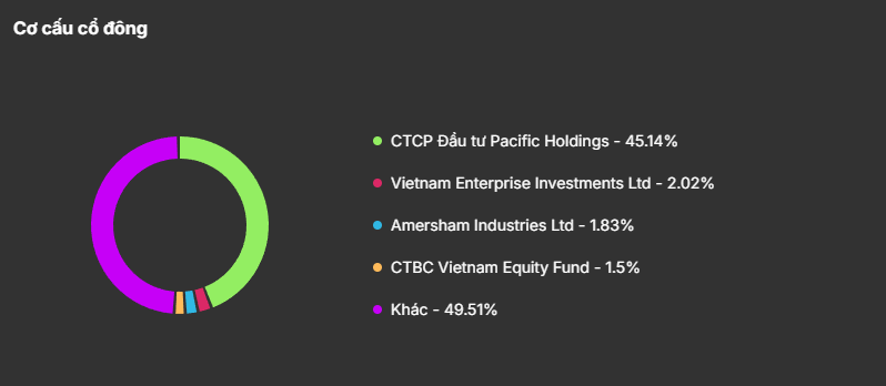 Cổ phiếu VCG: Tổng quanh, đánh giá và cập nhật kết quả kinh doanh mới nhất 2024