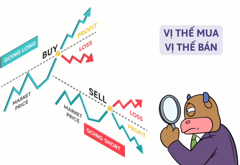 Vị thế là gì? Tìm hiểu vị thế trong chứng khoán phái sinh