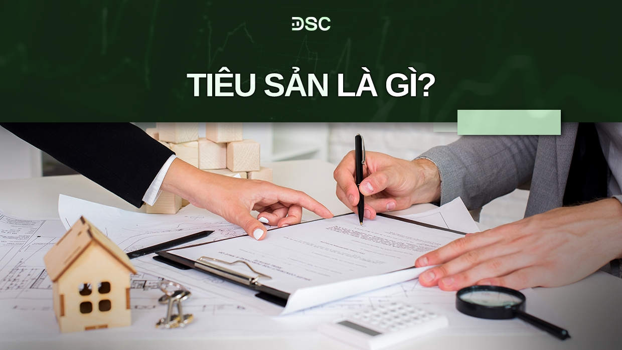 Tiêu sản là gì? Phân biệt tiêu sản và tài sản