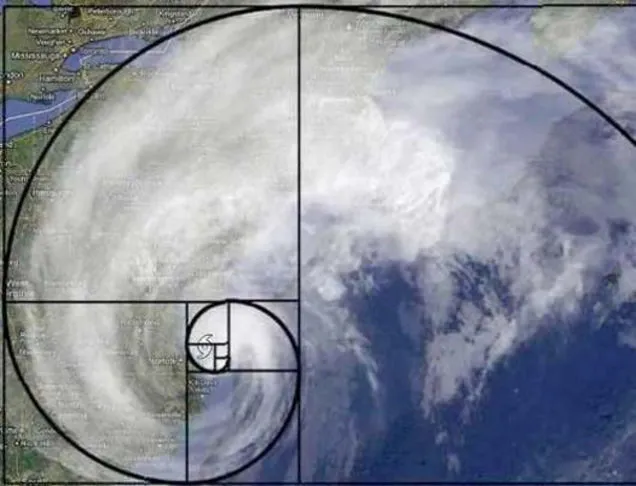 Bí ẩn về dãy Fibonacci và tỉ lệ vàng