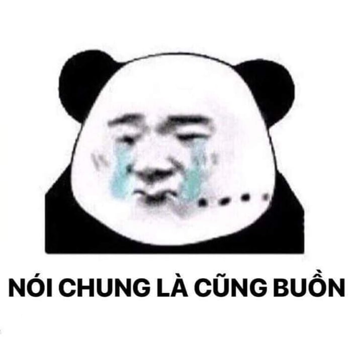 Đồng hành cùng bộ sưu tập meme gấu trúc Weibo hài bá đạo