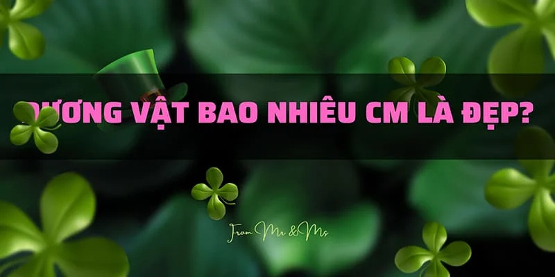 Dương Vật To Đẹp Nhất Thế Giới - Khám Phá Top 10 Cu To