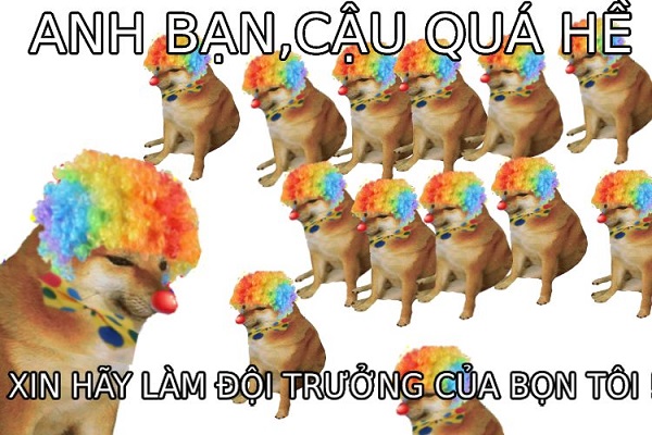 Meme chó shiba inu nổi tiếng CĐM là ai? Top ảnh chó shiba bựa hài hước