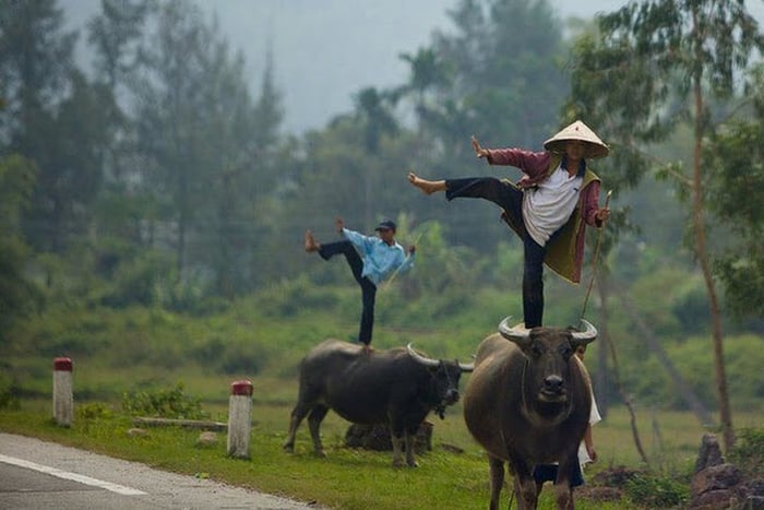 Những hình ảnh hài hước khiến bạn vỡ bụng