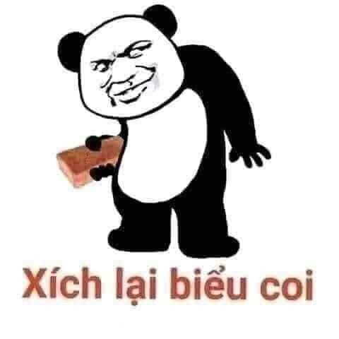 Đồng hành cùng bộ sưu tập meme gấu trúc Weibo hài bá đạo