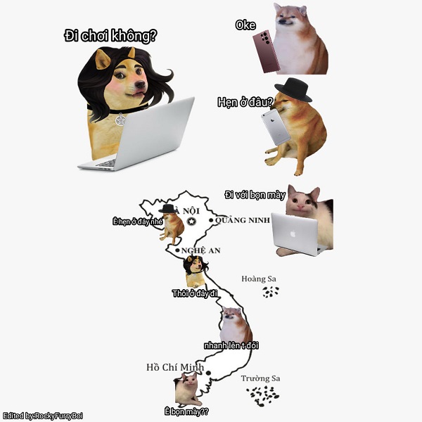 Meme chó shiba inu nổi tiếng CĐM là ai? Top ảnh chó shiba bựa hài hước