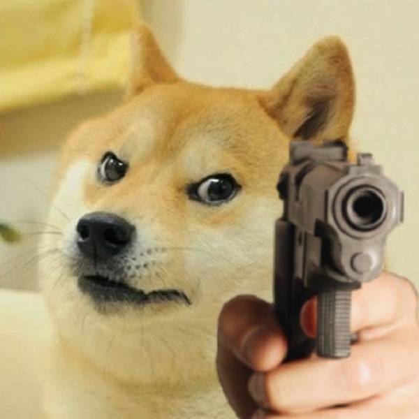 Meme chó shiba inu nổi tiếng CĐM là ai? Top ảnh chó shiba bựa hài hước