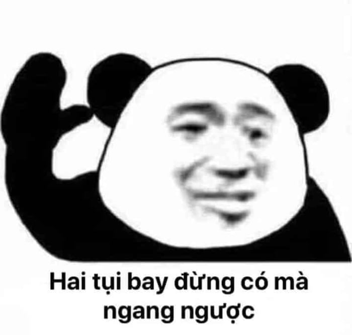 Đồng hành cùng bộ sưu tập meme gấu trúc Weibo hài bá đạo