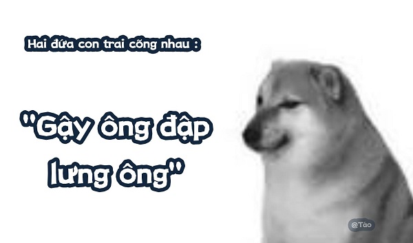 Meme chó shiba inu nổi tiếng CĐM là ai? Top ảnh chó shiba bựa hài hước