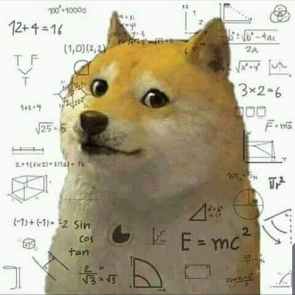 Meme chó shiba inu nổi tiếng CĐM là ai? Top ảnh chó shiba bựa hài hước