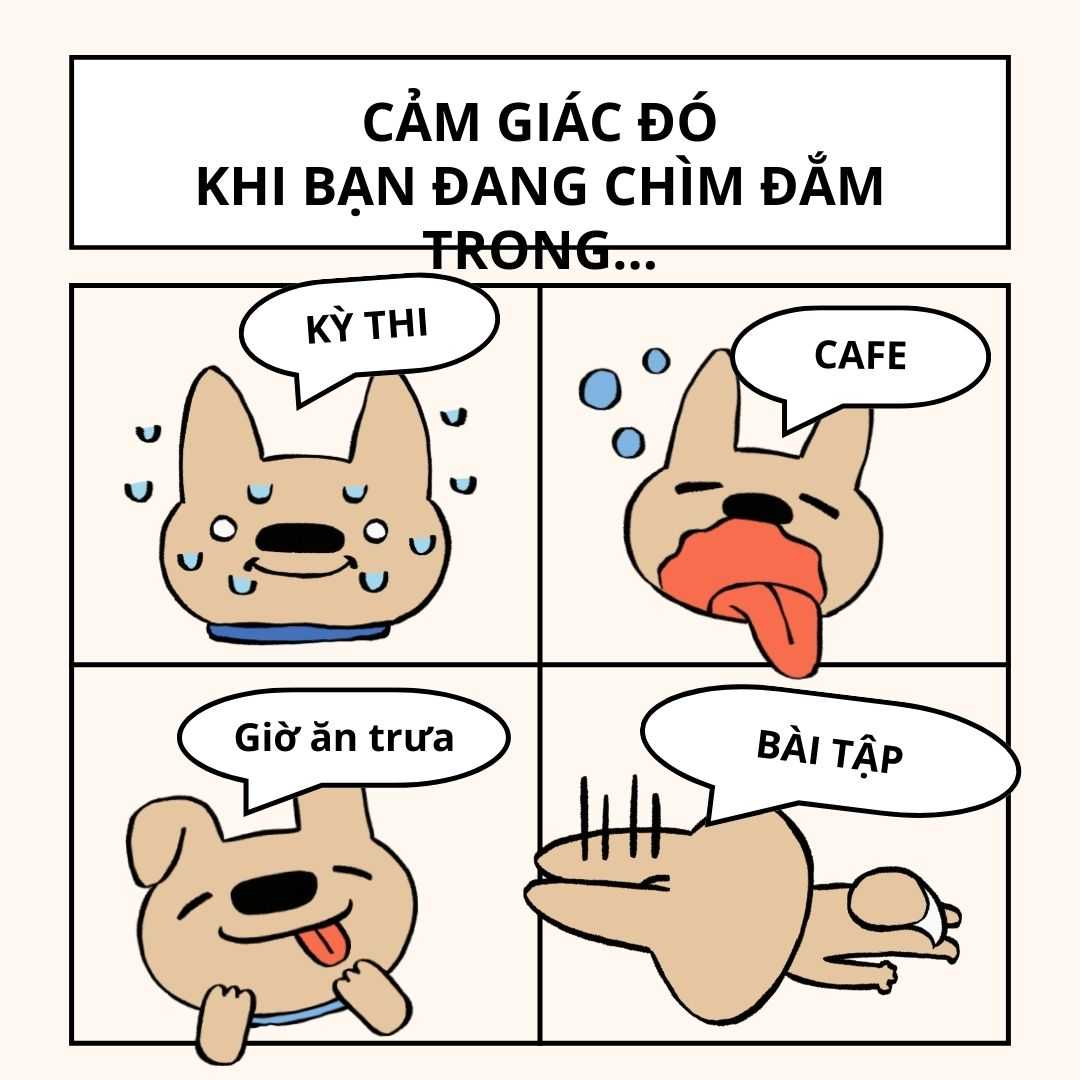 Tổng hợp 100 ảnh chế meme khóc siêu hài bựa