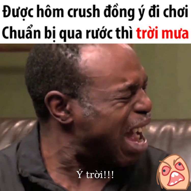 Tổng hợp 100 ảnh chế meme khóc siêu hài bựa