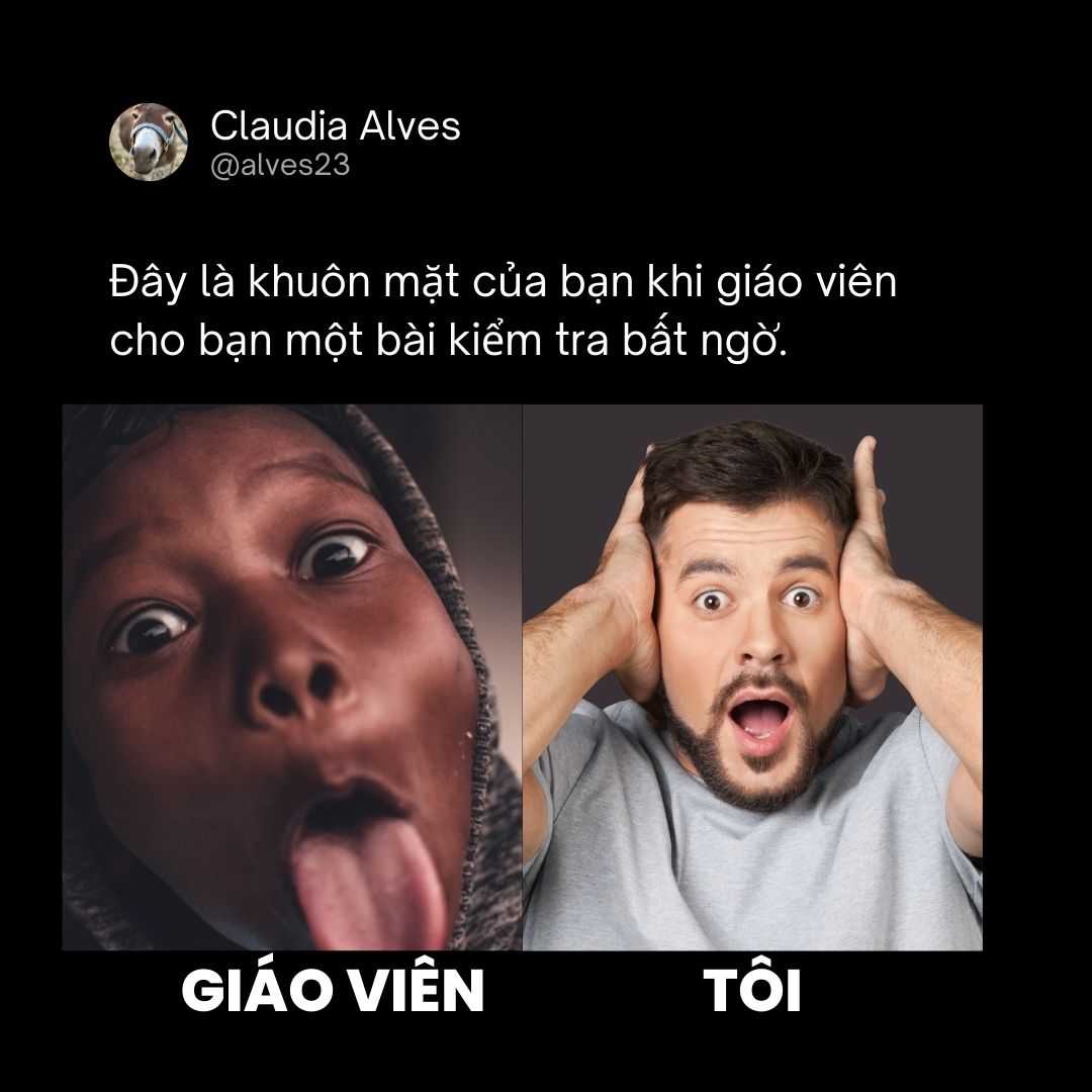 Tổng hợp 100 ảnh chế meme khóc siêu hài bựa