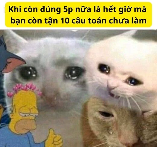 Tổng hợp 100 ảnh chế meme khóc siêu hài bựa