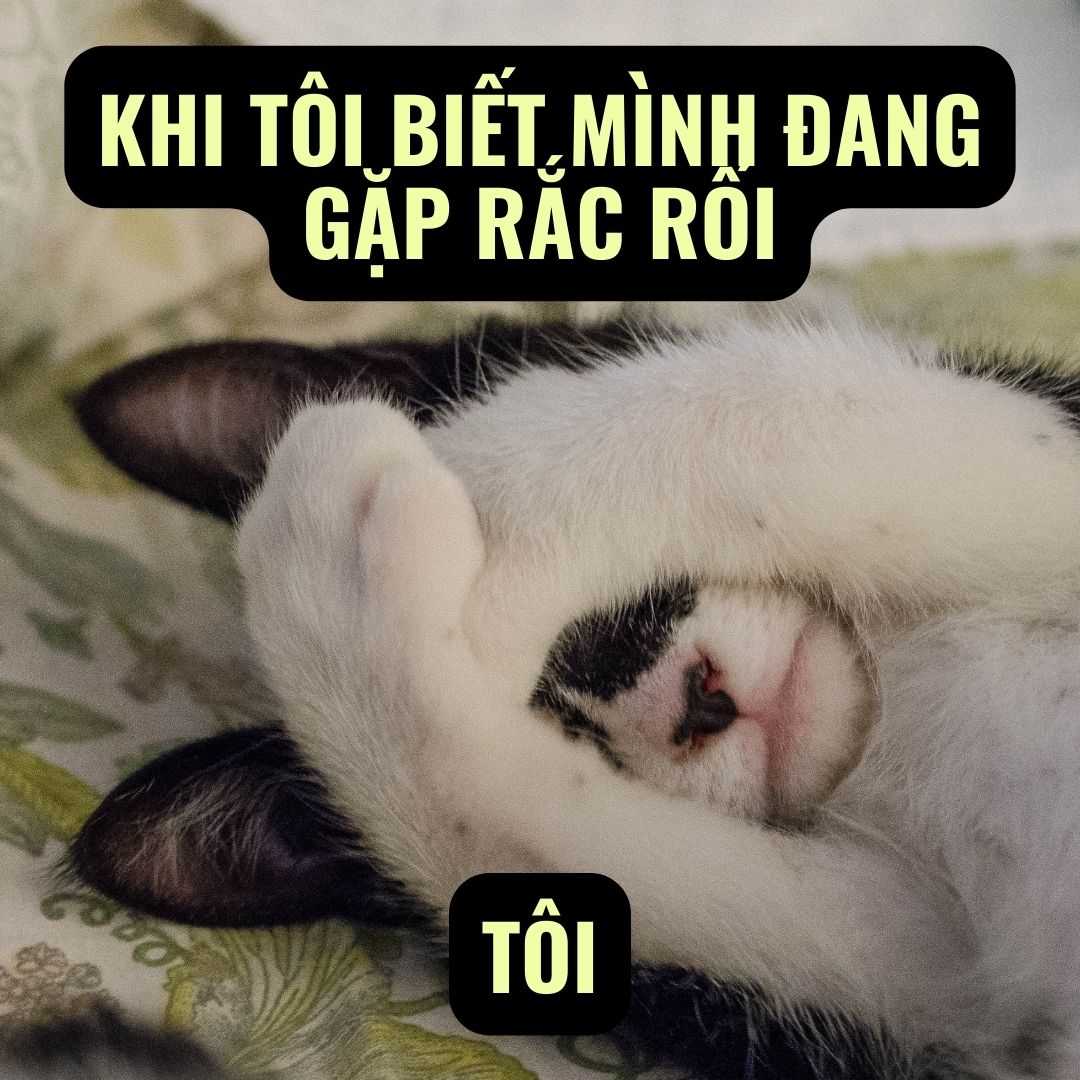 Tổng hợp 100 ảnh chế meme khóc siêu hài bựa