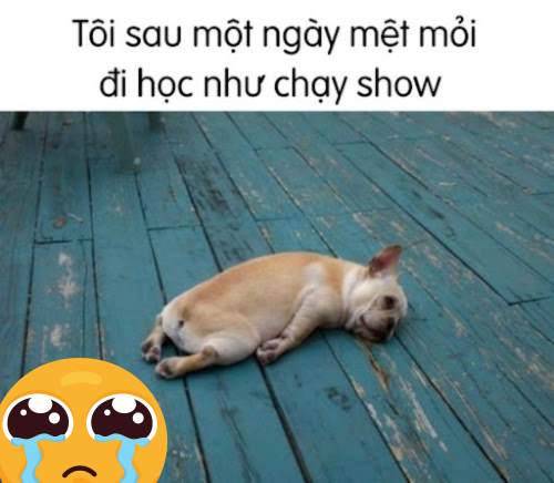 Tổng hợp 100 ảnh chế meme khóc siêu hài bựa