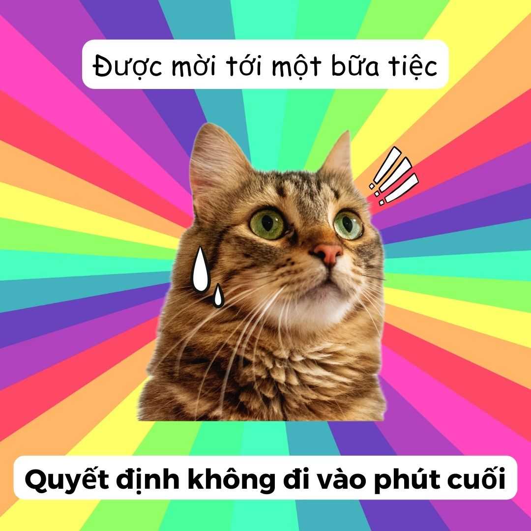 Tổng hợp 100 ảnh chế meme khóc siêu hài bựa