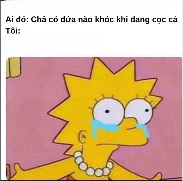 Tổng hợp 100 ảnh chế meme khóc siêu hài bựa