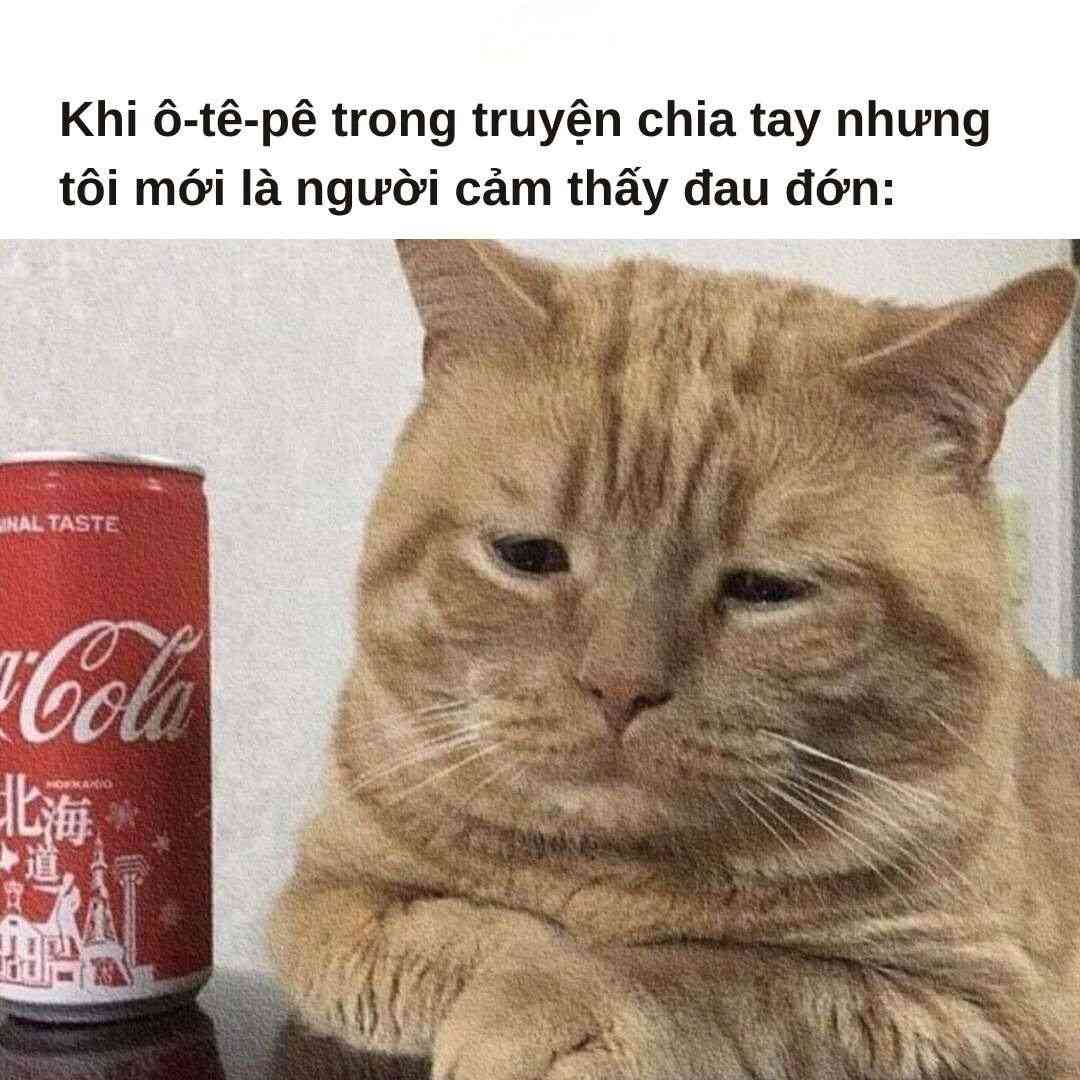 Tổng hợp 100 ảnh chế meme khóc siêu hài bựa