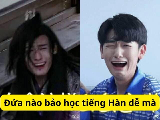 Tổng hợp 100 ảnh chế meme khóc siêu hài bựa