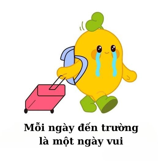 Tổng hợp 100 ảnh chế meme khóc siêu hài bựa