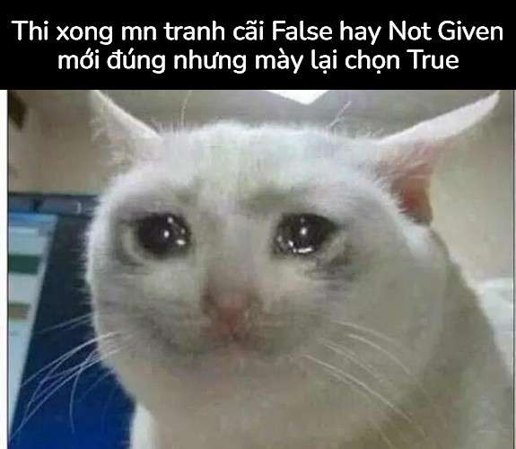 Tổng hợp 100 ảnh chế meme khóc siêu hài bựa