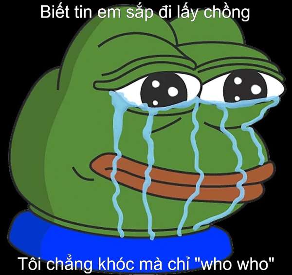 Tổng hợp 100 ảnh chế meme khóc siêu hài bựa