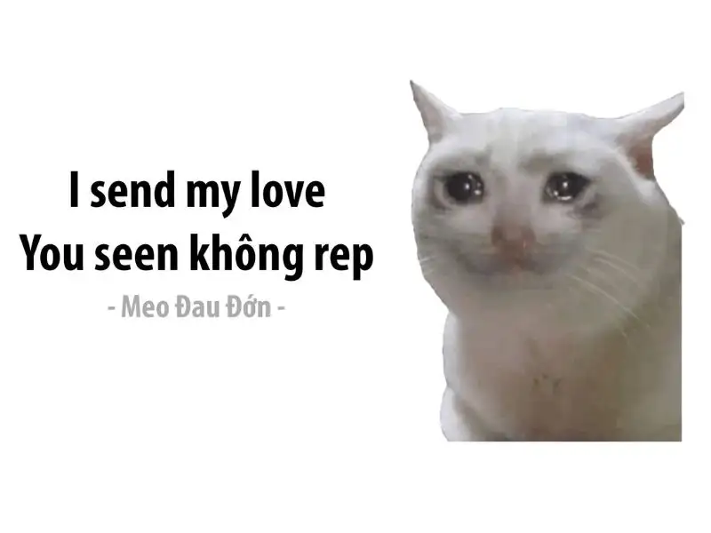 Tổng hợp 99+ meme thất tình nên lưu ngay về máy khi cần