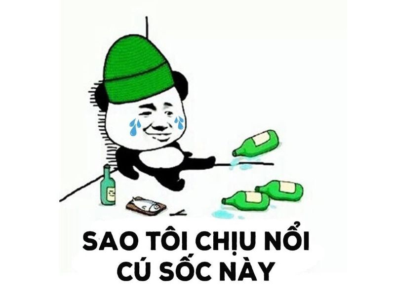 Tổng hợp 99+ meme thất tình nên lưu ngay về máy khi cần