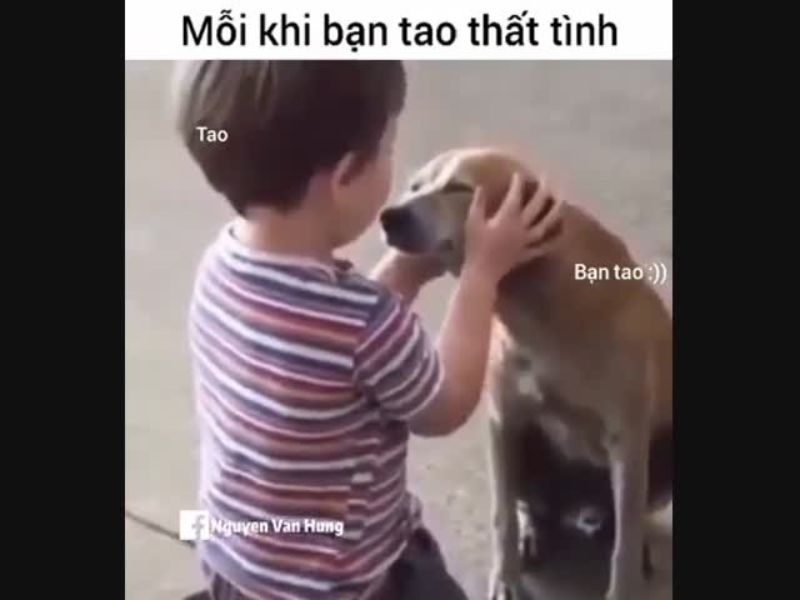 Tổng hợp 99+ meme thất tình nên lưu ngay về máy khi cần