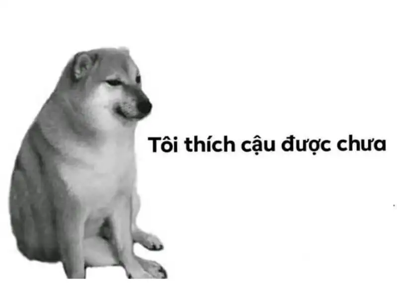 Tổng hợp 99+ meme thất tình nên lưu ngay về máy khi cần