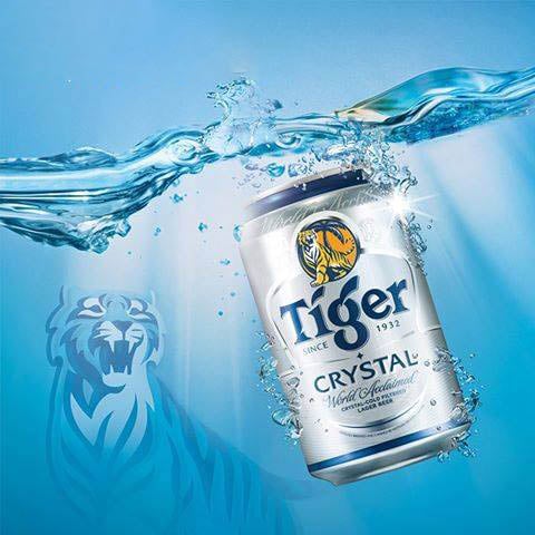 Bộ sưu tập hình ảnh bia Tiger đẹp nhất