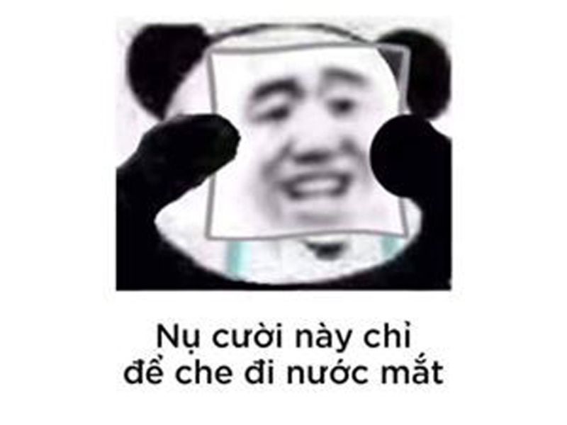 Tổng hợp 99+ meme thất tình nên lưu ngay về máy khi cần