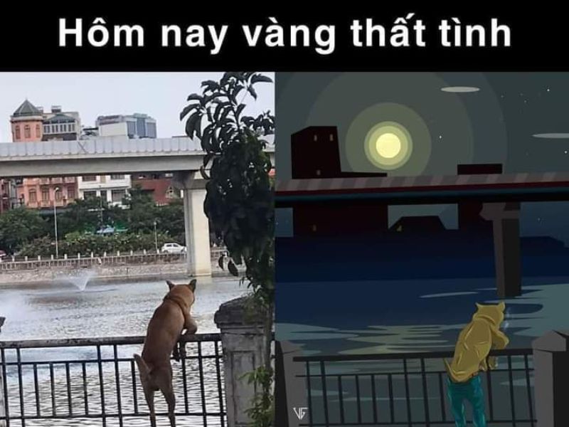 Tổng hợp 99+ meme thất tình nên lưu ngay về máy khi cần