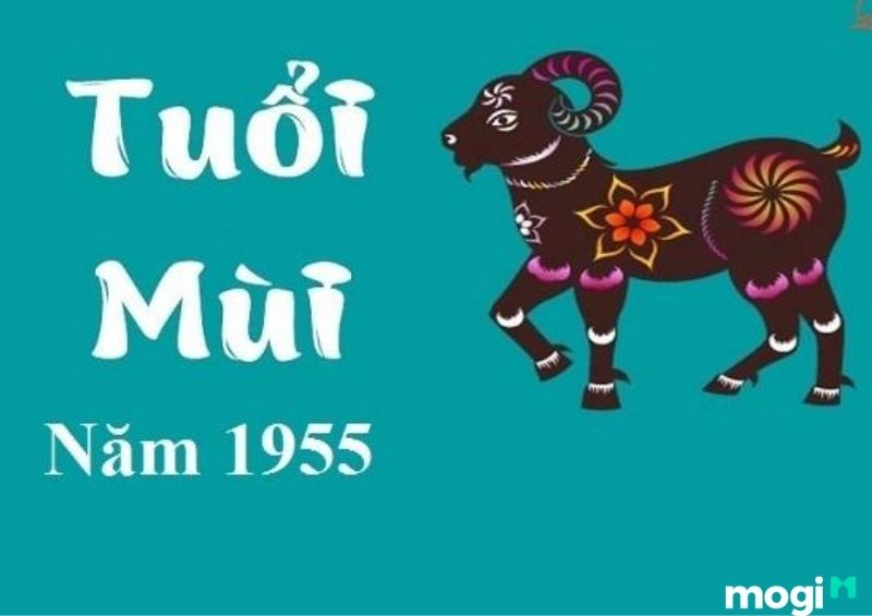 Sinh Năm 1955 Mệnh Gì? Luận Đoán Vận Mệnh Cuộc Đời Của Ất Mùi 1955