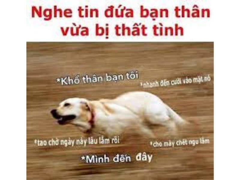 Tổng hợp 99+ meme thất tình nên lưu ngay về máy khi cần