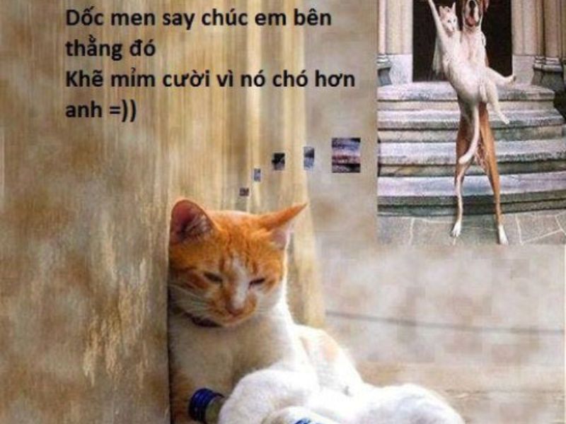 Tổng hợp 99+ meme thất tình nên lưu ngay về máy khi cần